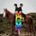 Portada de la canción "Kids", de MGMT