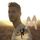 Portada de la canción "Juste Un Instant", de M. Pokora