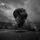 Portada de la canción "Built To Fall", de Trivium