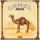 Portada de la canción "Lady Fantasy", de Camel