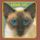 Portada de la canción "Carousel", de blink-182