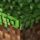 Portada de la canción "Sweden", de C418