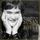 Portada de la canción "Who I Was Born To Be", de Susan Boyle