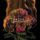 Portada de la canción "In The Beginning", de The Stills