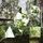 Portada de la canción "Rihanna", de Clean Bandit