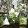 Portada de la canción "Rather be", de Clean Bandit
