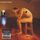 Portada de la canción "Semi Mental", de Biffy Clyro