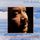 Portada de la canción "O Descobridor Dos Sete Mares", de Tim Maia