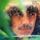 Portada de la canción "Dark Sweet Lady", de George Harrison