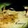 Portada de la canción "The Ponytail Parades", de Emery