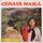 Portada de la canción "Baile do Sapucay", de Cenair Maicá