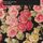 Portada de la canción "Harborview Hospital", de Mark Lanegan