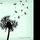 Capa da música "I Want You To Want Me", de Gary Jules