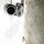 Portada de la canción "All My Friends", de LCD Soundsystem
