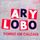 Portada de la canción "Gato Sem Unha Não Briga", de Ary Lobo