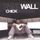 Portada de la canción "They Dont Know", de Paul Wall