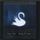 Portada de la canción "Look On Down From The Bridge", de Mazzy Star