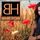Portada de la canción "What About Love (feat. Have2Have)", de Brooke Hyland