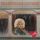 Capa da música "Do I Ever Cross Your Mind", de Dolly Parton