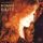 Portada de la canción "I Can't Make You Love Me", de Bonnie Raitt