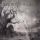 Portada de la canción "A Scenery Of Loss", de Draconian