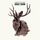 Portada de la canción "The Wave", de Miike Snow