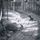Portada de la canción "Lost Wisdom", de Burzum