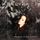 Portada de la canción "Midnight In The Garden", de Lily Kershaw