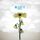 Capa da música "Be My Escape", de Relient K