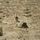 Portada de la canción "Someone In The Doorway", de Ben Howard