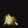 Portada de la canción "Bros", de Wolf Alice