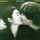 Portada de la canción "Beautiful Boy (Darling Boy)", de John Lennon