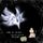 Portada de la canción "Karma", de Bump of Chicken