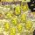 Portada de la canción "Watch The Corners", de Dinosaur Jr