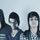 Portada de la canción "The Shelter", de They Will Defeat