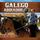 Portada de la canción "A Mulher Que Mais Amei", de Galego Aboiador