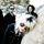 Portada de la canción "You Just Can't Win", de The Dead Weather