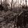 Portada de la canción "A Quick One Before The Eternal Worm Devours Connecticut", de Have A Nice Life