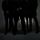 Portada de la canción "Consternation Solo", de Katatonia