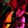 Portada de la canción "Bloody Sunday Intro", de Stiff Little Fingers