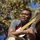 Portada de la canción "Nothing but a woman", de Robert Cray