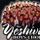 Portada de la canción "Those Were The Nights Of Chanukah", de Yeshiva Boys Choir
