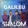 Capa da música "Glória a Deus Nas Alturas (Na Dança da Vida)", de Banda Shalom