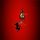 Portada de la canción "The Apple Of My Dream", de The Red Quarks