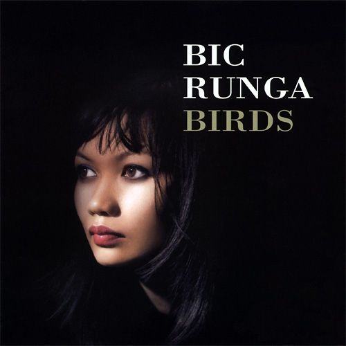 Drive - Bic Runga - Cifra Club