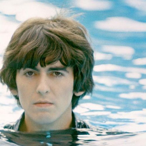 WahWah Harrison Cifra Club