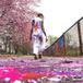 Beautiful Street