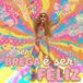 Ser Brega É Ser Feliz (Karaokê)