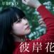 彼岸花 (Red Spider Lily)