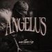 Angelus, Vol. 1
